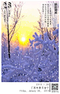 1月26号