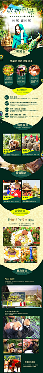 云南纯玩团旅游西双版纳旅游纯玩4日游旅行西双版纳4天3晚跟团游 - alitrip