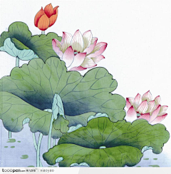 花樣采集到工笔