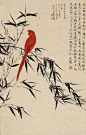 于非闇 戊子（1948年）作《红鹦鹉》