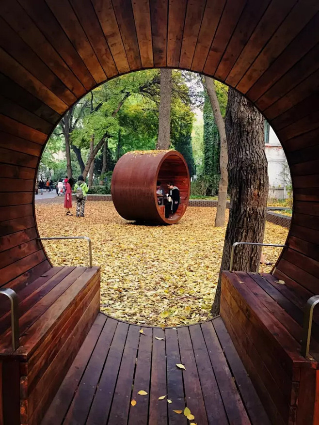 最有趣的校园改造：北京林业大学树洞花园