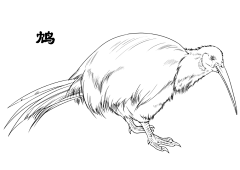 vic兔不知采集到山海经 神兽