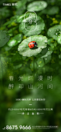 春分节气海报 -志设网-zs9.com