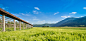 Hayrack standing in a field by Jure Gasparic on 500px