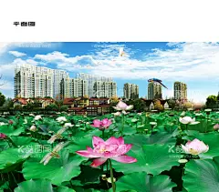 蓝天白云洋房荷花自然风景  - 源文件下载【酷图网】蓝天,白云,洋房,荷花,自然风景,壁画,风景画,美丽风景,美丽荷花,PSD源文件,自然风景图,唯美图片,唯美壁纸,自然风光,风景,风景图片,风景壁纸,大自然风光,蓝天白云,电脑壁纸,美景,美景壁纸,风景名胜,花草树木,植物,大自然,建筑物,建筑风景,建筑,自然景观,设计,自然景观图片,