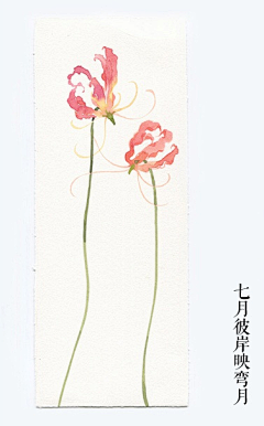 董兮玉采集到素材