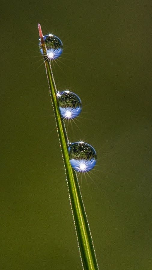  雨露