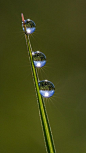  雨露