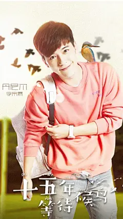 电视剧十五年等待候鸟手机壁纸
