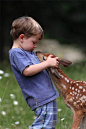 世界上最温情的瞬间是什么？
或许就是人与动物的和谐相处吧！