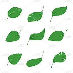 叶子,绿色,分离着色,创造力,自然,华丽的,高雅,多样,布置,装饰