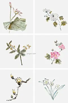 中国古风花卉插画图片大小2000x3020px 图片尺寸2.78 MB 来自PNG搜索网 pngss.com 免费免扣png素材下载！白描#插画#插画设计#工笔#古风#广告设计#海报设计#荷花#花草#花卉#卡通手绘#冷色#冷色系#