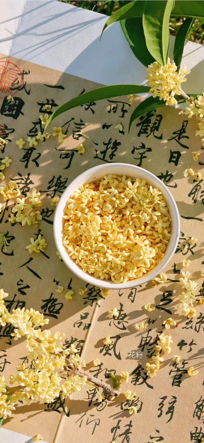 流年如风，吹进华夏这沧桑之地，叶黄枯秋，...