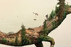 环保题材向来是创意爆发的集中地，这一次，视觉党将一只只可爱的动物直接摧毁在你面前......| WWF公益海报 ​​​​