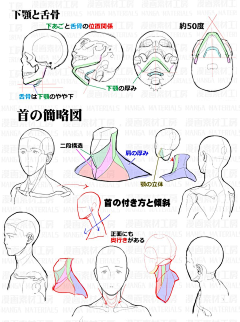 练习样本图册采集到人体结构