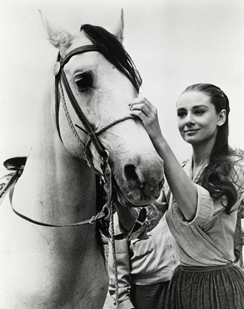 Beautiful Audrey Hep...