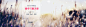 秋冬淘宝服装banner背景背景图 页面网页 平面电商 创意素材