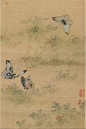 蝴蝶，也叫“春驹”
