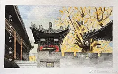 #水彩札记# 大秦秋韵.西安终南山古观音禅寺
深秋时节，观音禅寺，慕名千年银杏。清风起闲云落，扇叶飘零。三杯两盏淡茶，怎奈何瑟瑟寒意。僧扫过，叶堆积，却是尘念散尽。 （作者：@SummerJ-XM ） ​​​​