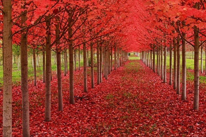 世界上最多彩的落叶秋景图