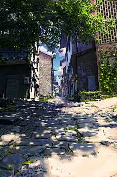 采集图片