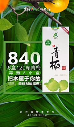 隐者的菊采集到版式