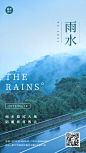 雨水节气清新实景手机海报