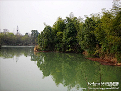 Tanghui2008采集到非诚勿扰西溪湿地（上