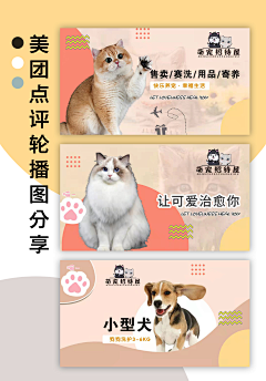 培你成长采集到代运营