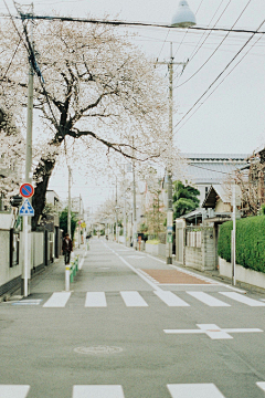 莫问来处-不知归期采集到场景