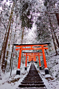 Torii gates in winter's snow, Japan