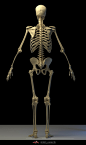 2056ad5cbcdcd8aeb552855b23078e73