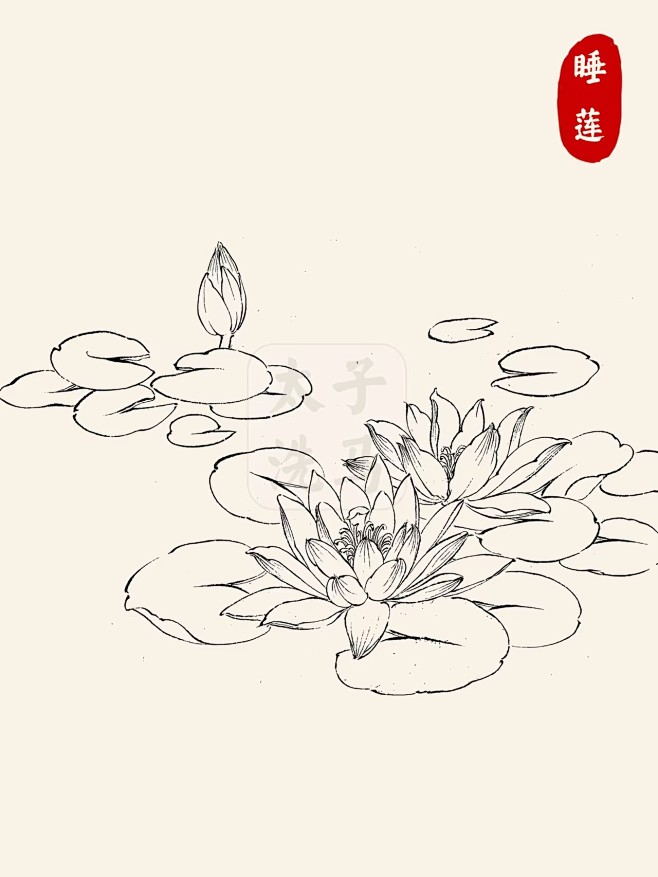 国画入门｜线描/白描花卉合集第2弹‼️图片_学习图片素材-花瓣网