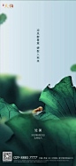 处暑 (47)