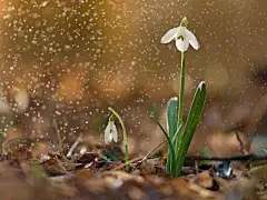 第6页 | 必应每日高清壁纸 - 精彩，从这里开始