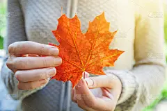 公园背景上，秋色自然的秋景女子手握橙红色的枫叶。灵感自然十月或九月壁纸。季节变换概念