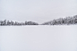 GRAPHICAL LANDSCAPES : Graphic landscapes of Lapland
