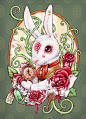 精美手绘复古风欧洲神话故事爱丽丝兔子绿野仙踪插画 (16)