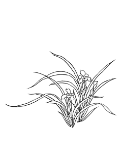 用户JwMOwf5j采集到q