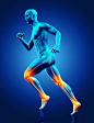 人体运动肌肉注释高清图片 - 素材中国16素材网