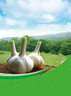 大蒜宣传海报背景 设计图片 免费下载 页面网页 平面电商 创意素材