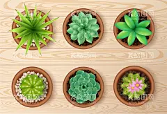 盆栽  - 源文件下载【酷图网】盆栽,绿色植物,绿植,盆景,花卉花草,卡通,插图,插画