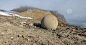 mysterious-stones-champ-island-arctic-stone-balls-franz-jozef-land-unique-phenomenon-stone-spheres-geodes-60096840.jpg (1300×773)