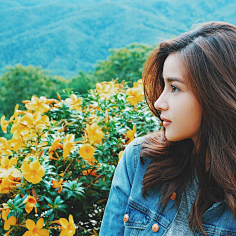 婉娜拉宋提查vill