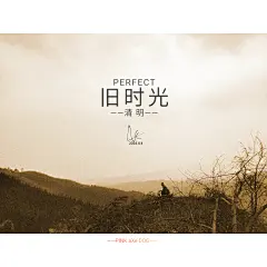 又是一年清明日，不见当年指路童
