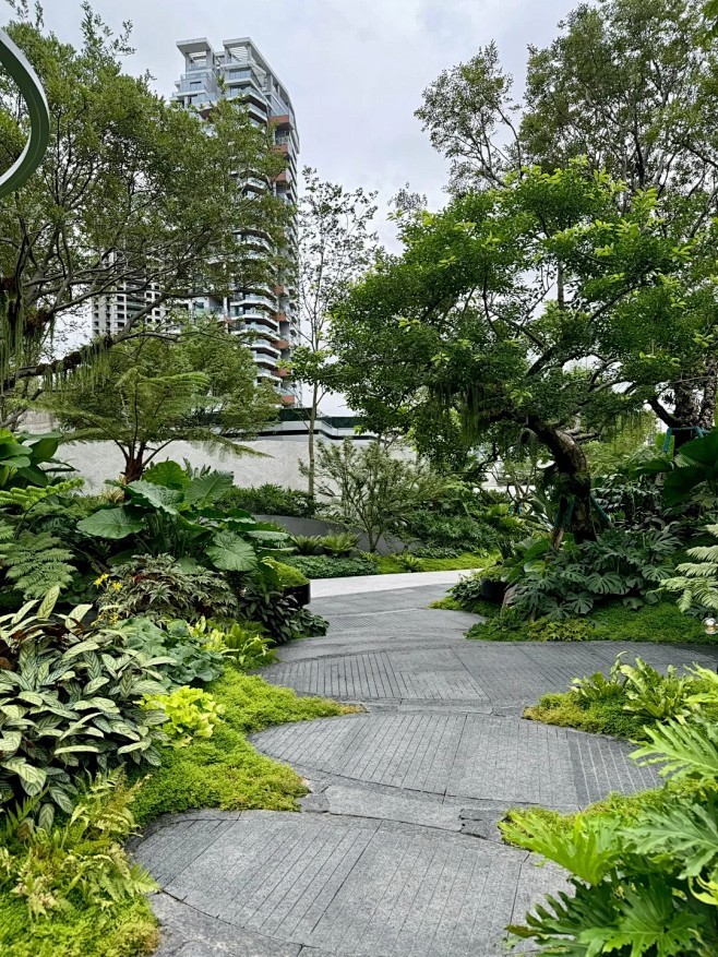 麓湖样板岛01-热带雨林风格的景观_13...