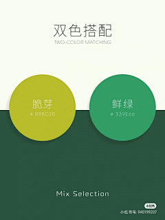 杰尼龟·采集到色卡