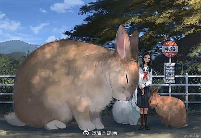 来自分享