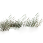 手绘水彩芦苇丛植物透明背景免抠PNG图案 装饰PS设计合成素材 (63)