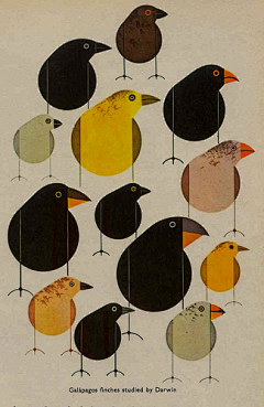 luspace采集到Charley Harper